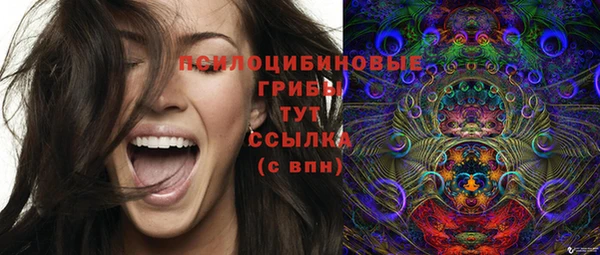 шишки Гусь-Хрустальный